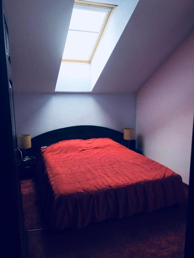 Pensiunea Casa Ancutei Rânca Extérieur photo